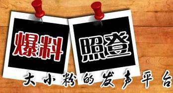 重庆新闻爆料者,揭秘城市热点事件背后的真相